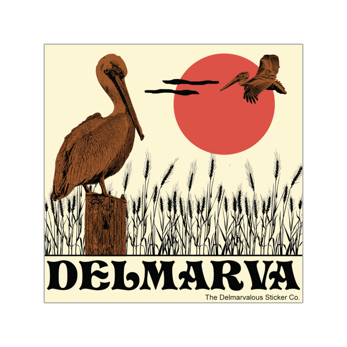 Delmarva Wetlands